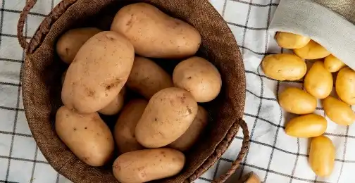Why is potato protein considered hypoallergenic?